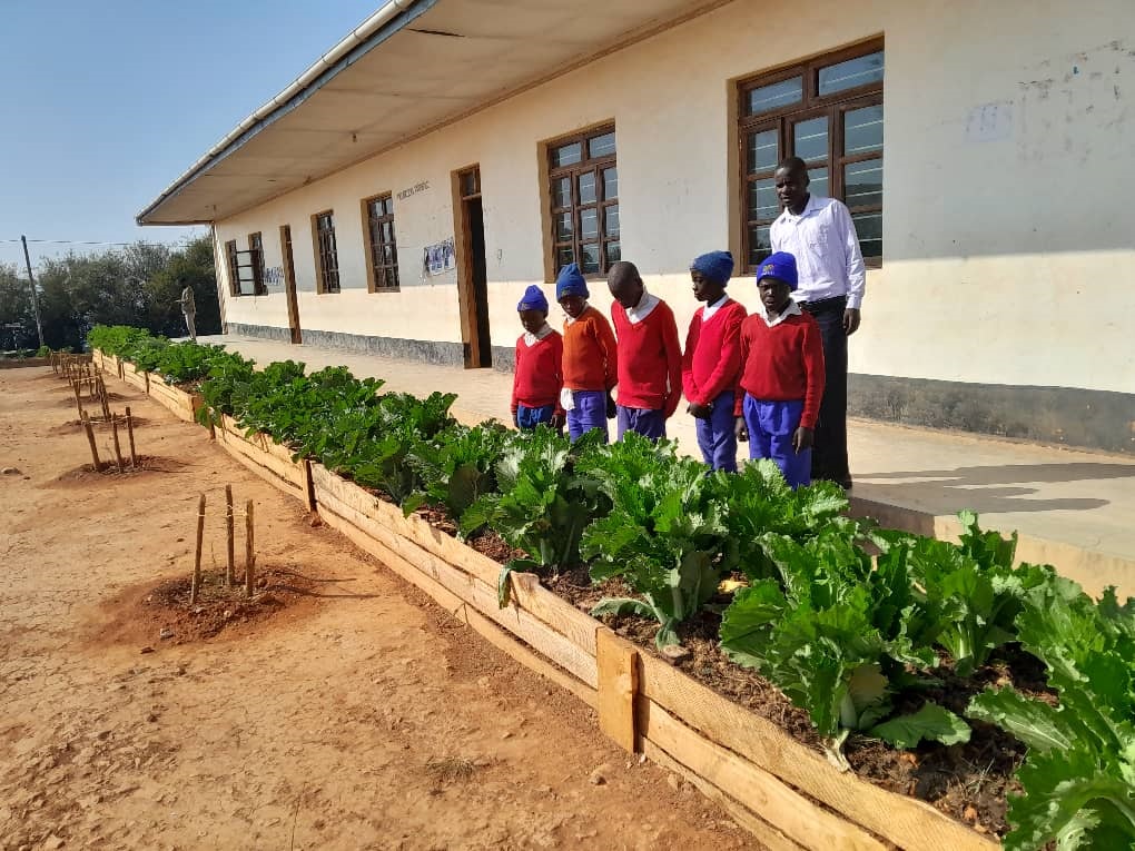 Community development