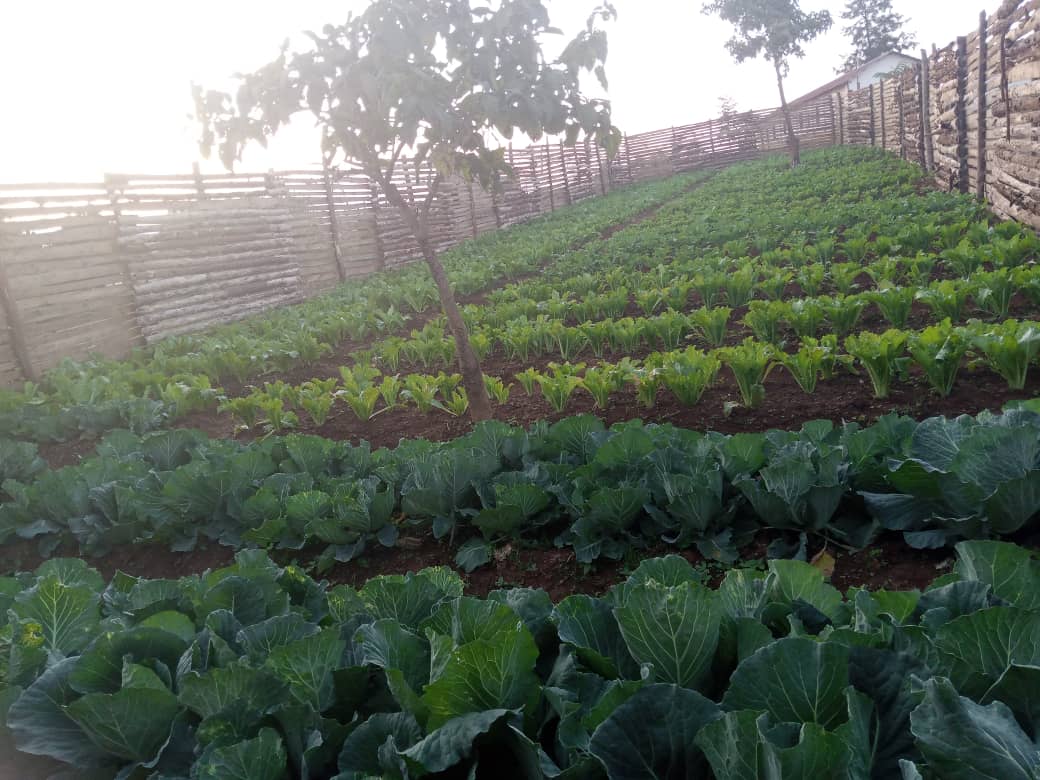 Community Development
